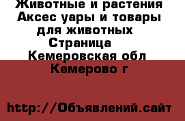 Животные и растения Аксесcуары и товары для животных - Страница 3 . Кемеровская обл.,Кемерово г.